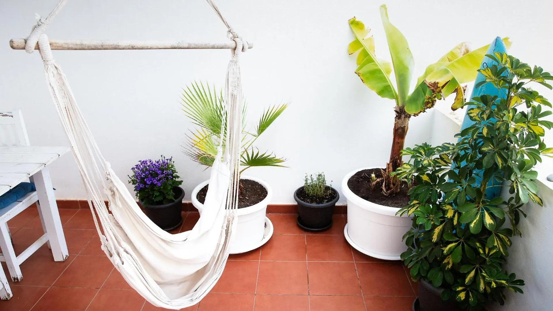Hostal Albergue Surf Dream Surfhouse Corralejo